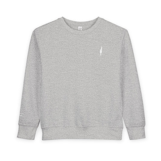 Cozy Toddler Sweatshirt for Everyday Adventures, Toddler Outfit, Cute Kids Clothing, Birthday Gift, Playdate Essentials