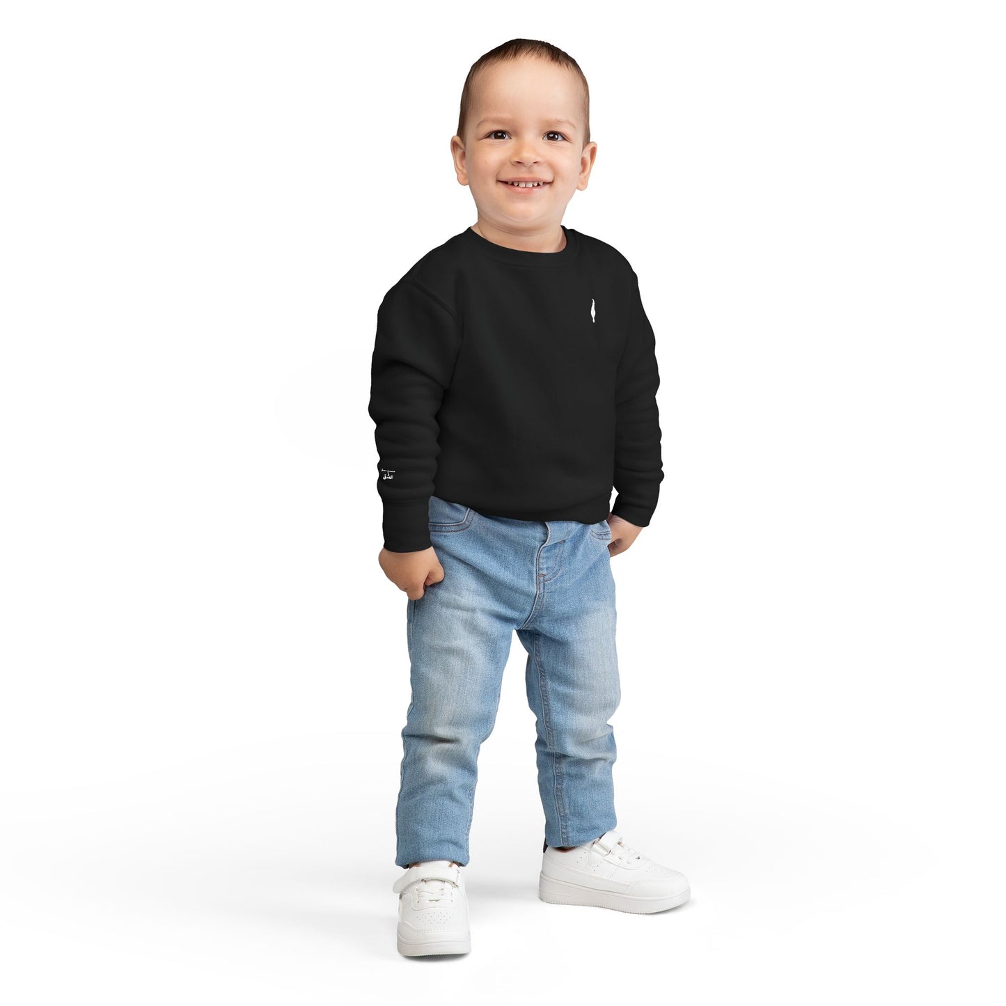 Cozy Toddler Sweatshirt for Everyday Adventures, Toddler Outfit, Cute Kids Clothing, Birthday Gift, Playdate Essentials