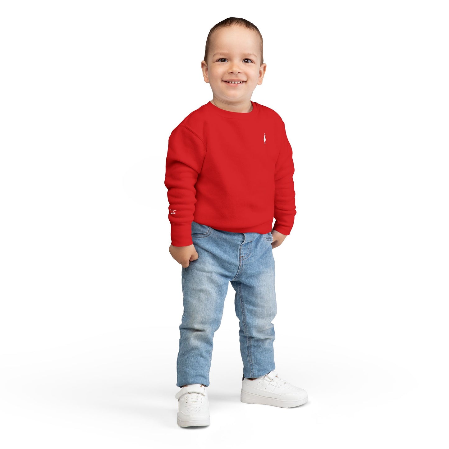 Cozy Toddler Sweatshirt for Everyday Adventures, Toddler Outfit, Cute Kids Clothing, Birthday Gift, Playdate Essentials