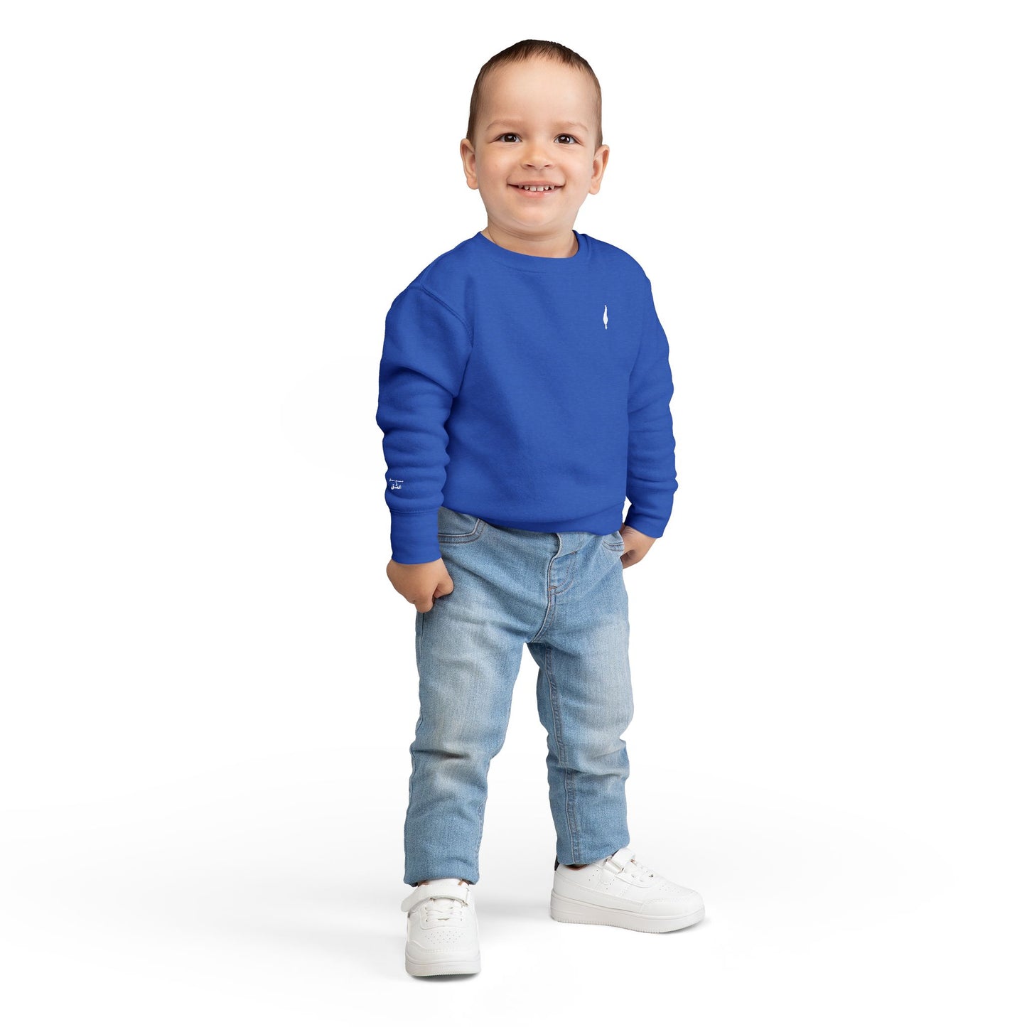 Cozy Toddler Sweatshirt for Everyday Adventures, Toddler Outfit, Cute Kids Clothing, Birthday Gift, Playdate Essentials