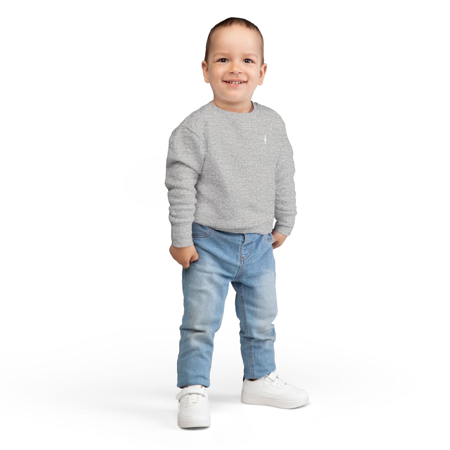Cozy Toddler Sweatshirt for Everyday Adventures, Toddler Outfit, Cute Kids Clothing, Birthday Gift, Playdate Essentials