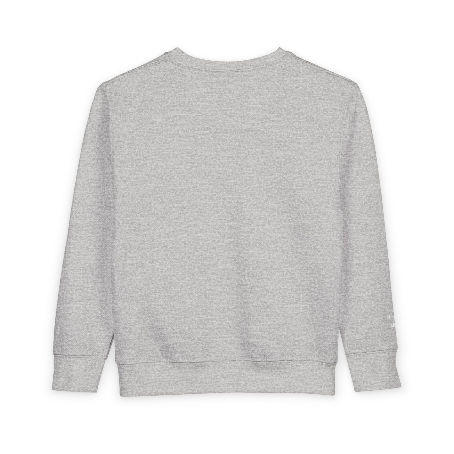 Cozy Toddler Sweatshirt for Everyday Adventures, Toddler Outfit, Cute Kids Clothing, Birthday Gift, Playdate Essentials