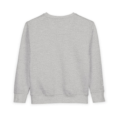 Cozy Toddler Sweatshirt for Everyday Adventures, Toddler Outfit, Cute Kids Clothing, Birthday Gift, Playdate Essentials