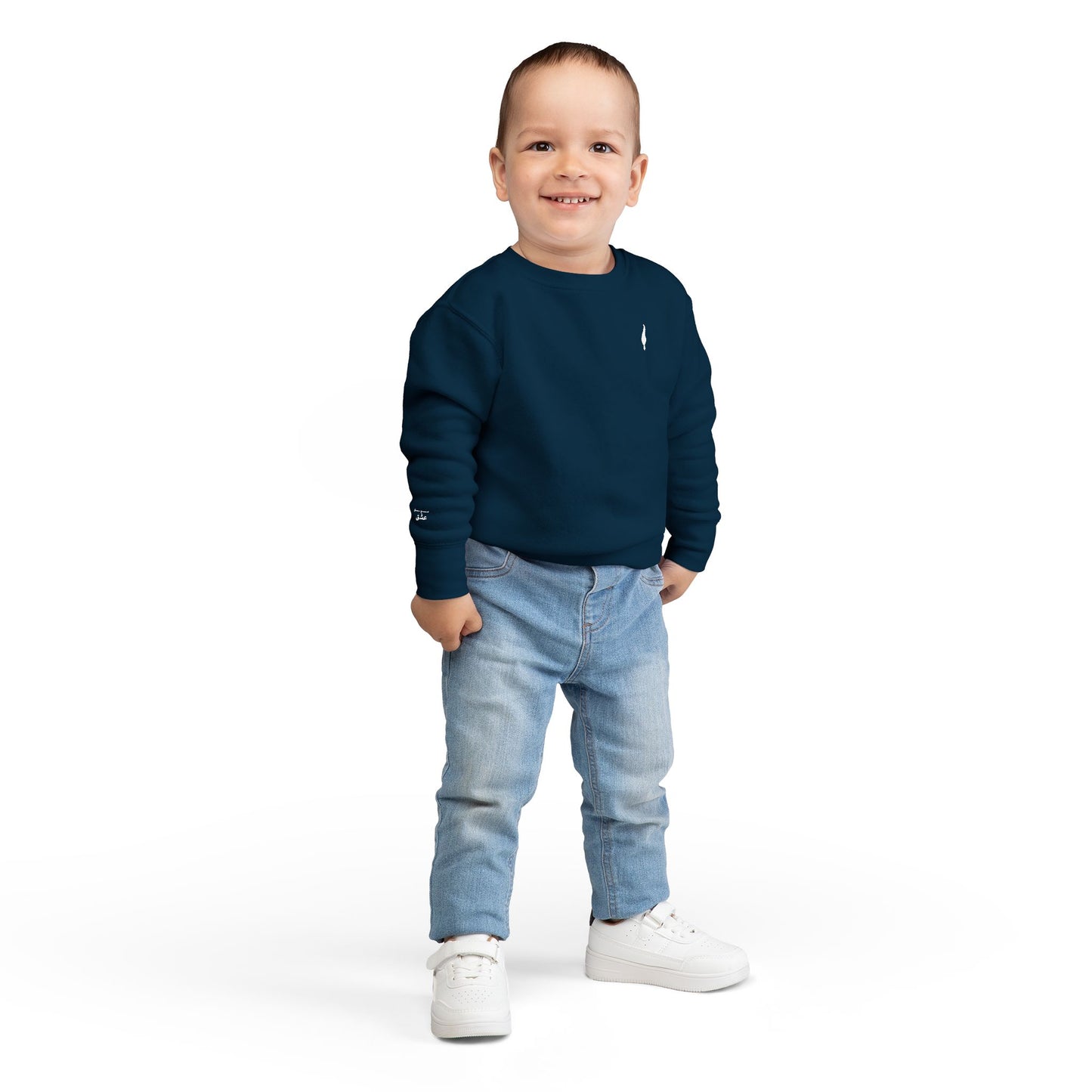 Cozy Toddler Sweatshirt for Everyday Adventures, Toddler Outfit, Cute Kids Clothing, Birthday Gift, Playdate Essentials