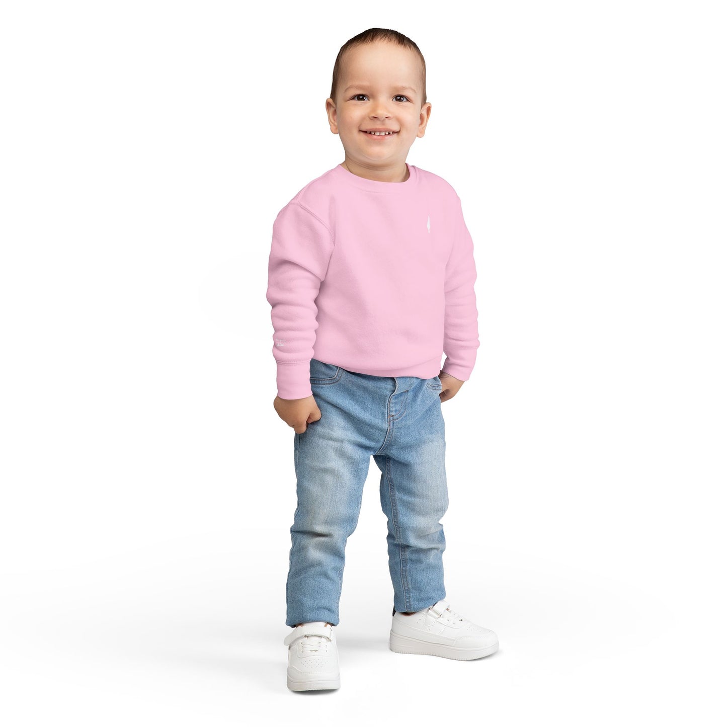 Cozy Toddler Sweatshirt for Everyday Adventures, Toddler Outfit, Cute Kids Clothing, Birthday Gift, Playdate Essentials