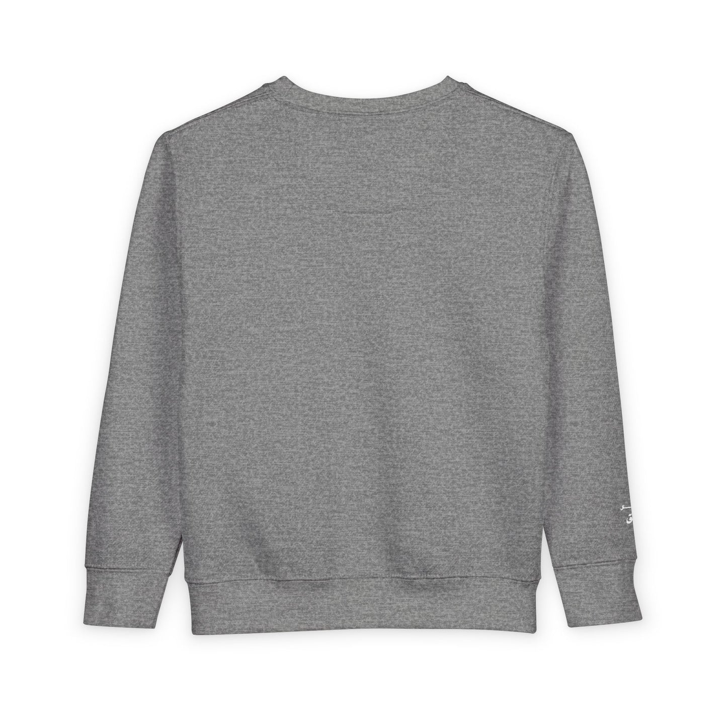 Cozy Toddler Sweatshirt for Everyday Adventures, Toddler Outfit, Cute Kids Clothing, Birthday Gift, Playdate Essentials
