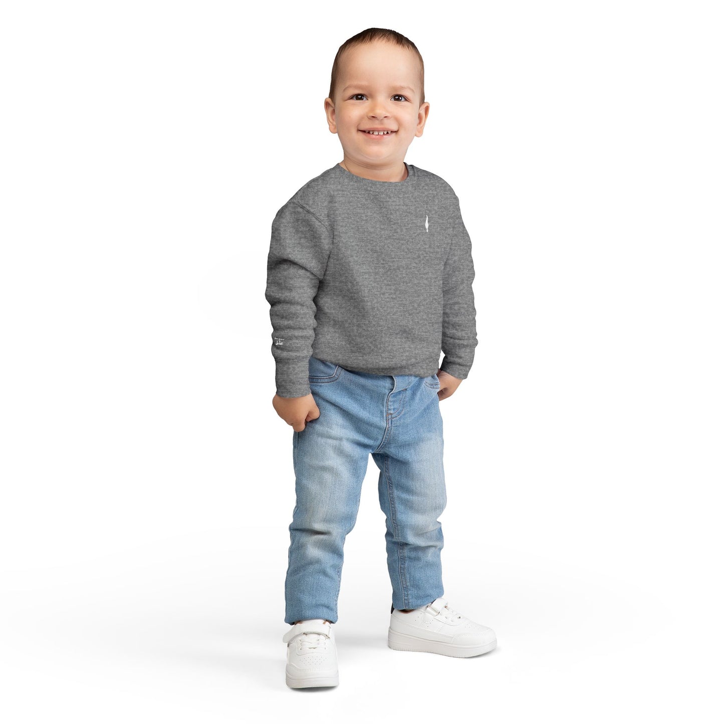 Cozy Toddler Sweatshirt for Everyday Adventures, Toddler Outfit, Cute Kids Clothing, Birthday Gift, Playdate Essentials